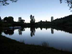 The pond at sunset  