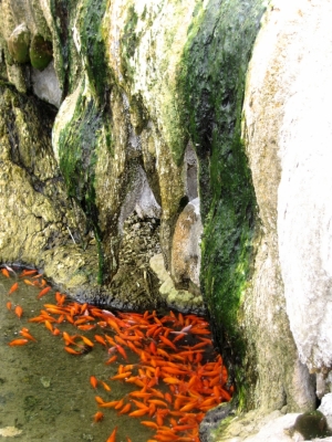 Hot springs 