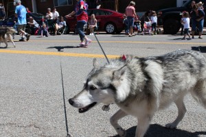 More parade 