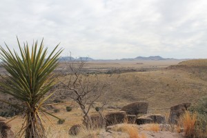 Davis Mountains State Park