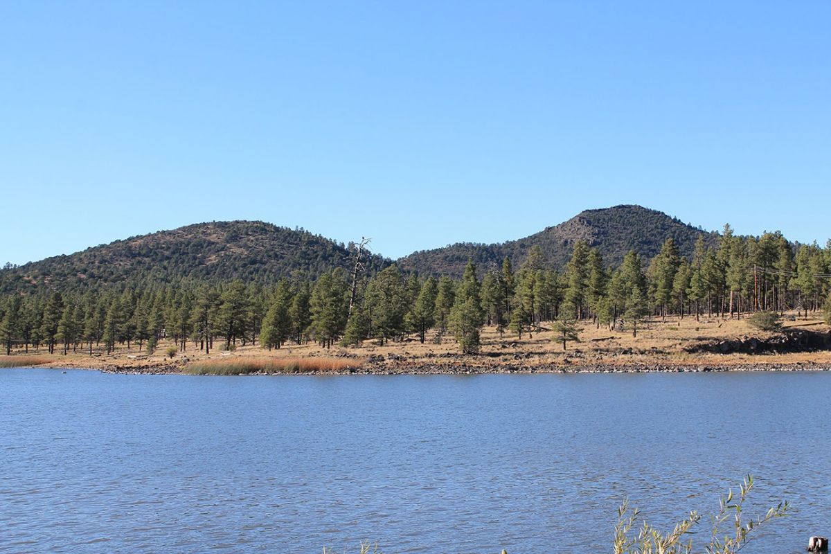Williams, AZ 