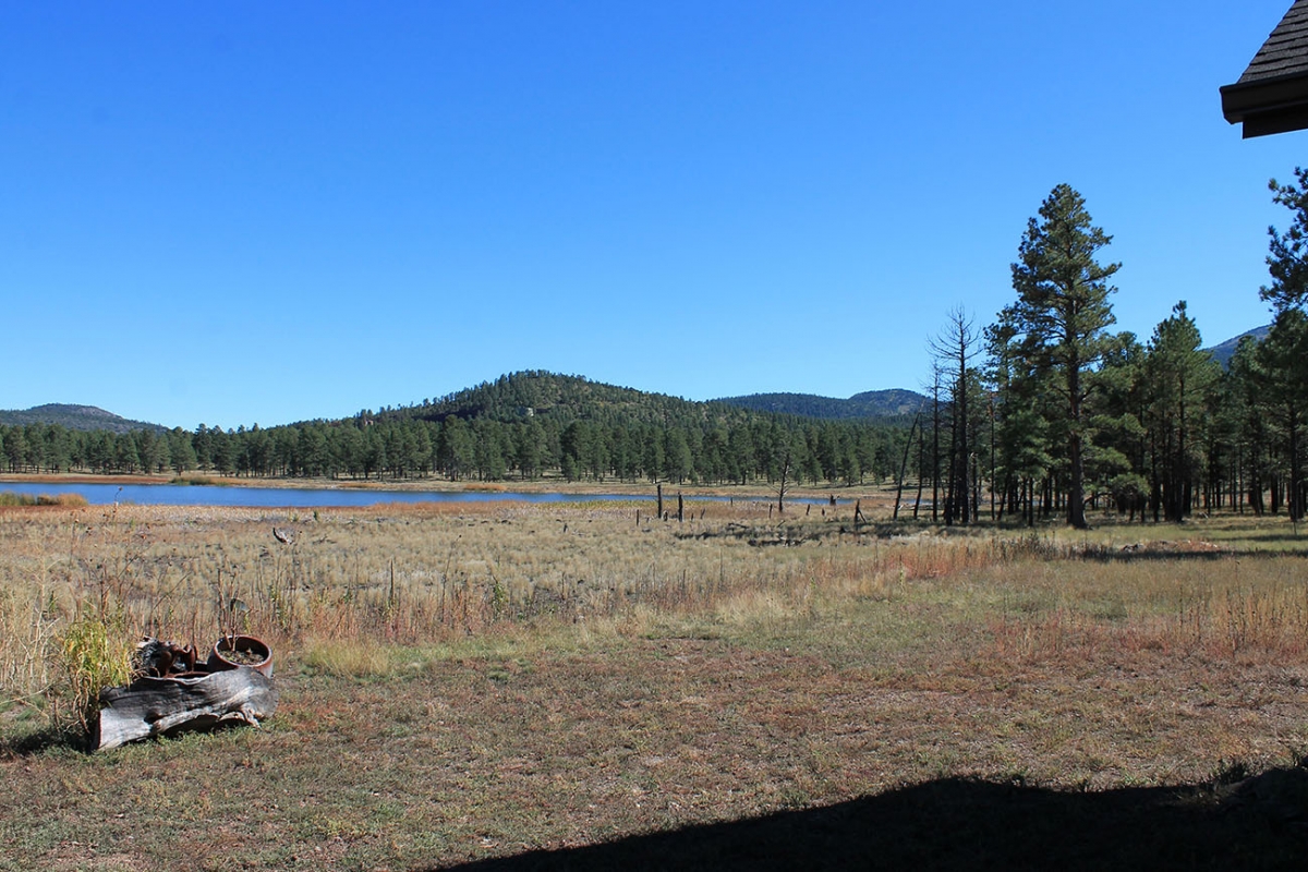Williams, AZ 