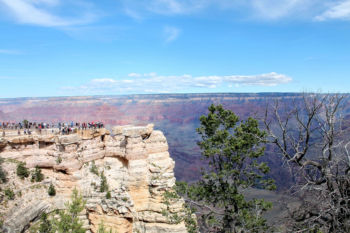 The Grand Canyon 