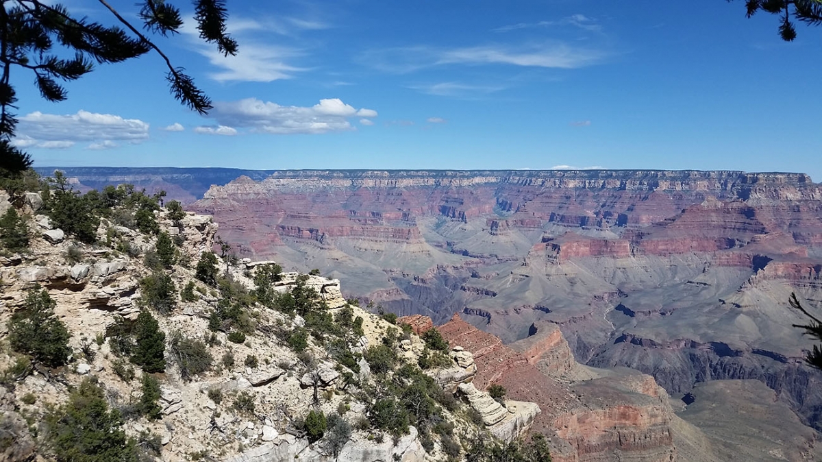 The Grand Canyon 