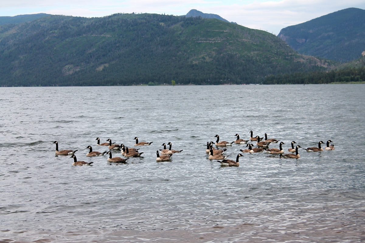Lake Vallecito, CO  