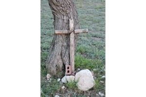 San Angelo State Park 